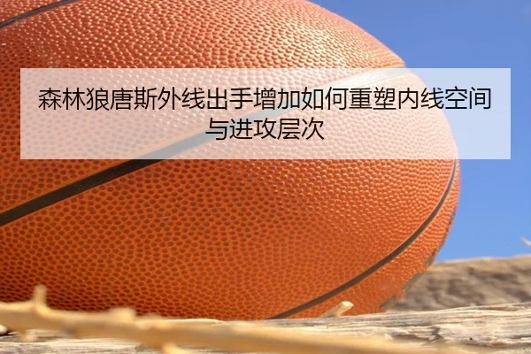 森林狼唐斯外线出手增加如何重塑内线空间与进攻层次